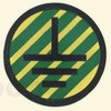 50859305