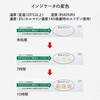 50888454