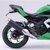 91626 tF_[XLbg(LEDCZXvt) NINJA250SL('15) DAYTONA(fCgi) 50901235