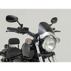 92329 FLYSCREENėp[^[oCU[ 31`43 _[NX[N DAYTONA(fCgi) 50902608