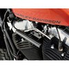92702 [^[}EgKWFbgz_[SPORTSTER Family '04 '14 XLfp DAYTONA(fCgi) 50903493