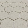 50925667