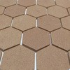 50925694