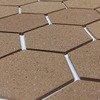 50925694