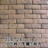 50925904