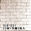 50926069