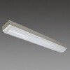 LED一体型ベース照明 ライトユニット 20形セット品 トラフ形 HotaluX(ホタルクス)