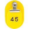 51052148