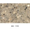 51072098