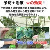 - xjJxWtVXv[ KINCHO| 51178085