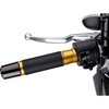 Puig Hi-Tech Ascent Grips