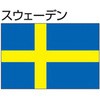 51348843