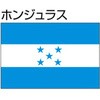 51349534