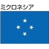 51349595