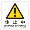 51405006