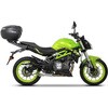 B0BN39ST �g�b�v�}�X�^�[�t�B�b�e�B���O BENELLI BN 302 S '19 SHAD (�V���b�h) 51605857