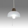 LED小型ペンダントライト スワン電器