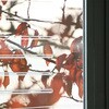 二重窓特集