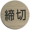 51664596