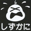 51666118