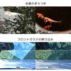 BW-0207M 偏光サングラス BUNNY WALK(バニーウォーク) 51778285