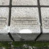 51957649