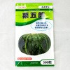 栗五郎 (カボチャ) カネコ種苗
