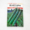 ほっきこうJP (キュウリ) カネコ種苗