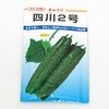 きゅうり 種