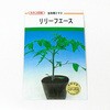 リリーフエース (台木用トマト) カネコ種苗