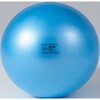 ギムニクボディーボール 65     BRQ(破裂防止品質) DANNO(ダンノ)