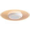 SCL-150L-LGP ^V[OCg  ACXI[} 52164237