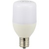 LDT4L-G-E17 IG92 小形LED電球T形40形全方向タイプ オーム電機 52236364