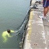 52253478,52253487,52253496,52253505,52253514