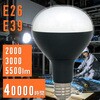 投光器 24V