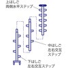 52394178