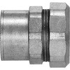 52403269
