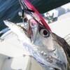 #1/0 DECOY ASSIST HOOK Twin Pike(cCpCN) DJ-88 JcC` 52563728