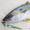 #1/0 DECOY ASSIST HOOK Twin Pike(cCpCN) DJ-88 JcC` 52563728