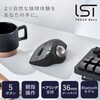 M-IT11BRBK トラックボール マウス Bluetooth 5ボタン ベアリングユニット エルゴノミクス IST エレコム 52596637