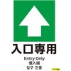 52603769