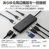 DST-W03 USB-C �n�u �h�b�L���O�X�e�[�V���� 10in1 PD�Ή� 100W 10Gbps �yType-Cx2 USB-Ax4 HDMIx1 LANx1 SD�z �G���R�� 52673007