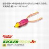 #602rbOoCg`[g LbJ[tbOJr EverGreen INTERNATIONAL 52694454
