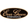 #19vX|[_Ci}Cg S[hfBK[600 EverGreen INTERNATIONAL 52699844