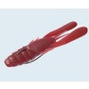 #05WoO/uEN[ GbWuCJ[ EverGreen INTERNATIONAL 52703640