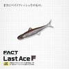 #117cS XgG[XF(t[eBO)95F EverGreen INTERNATIONAL 52705250