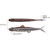 #117cS XgG[XF(t[eBO)95F EverGreen INTERNATIONAL 52705250