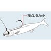 #117cS XgG[XF(t[eBO)95F EverGreen INTERNATIONAL 52705250