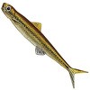 #117cS XgG[XF(t[eBO)95F EverGreen INTERNATIONAL 52705250