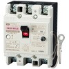 NL63-30TLS ノーヒューズブレーカ(自家用発電連系用) 河村電器産業 52737956